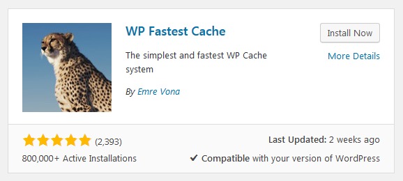 WordPress Plugin WP Fastest Cache