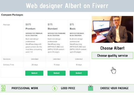 web designer albert fiverr